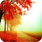 autumn android application logo